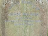 image of grave number 930376
